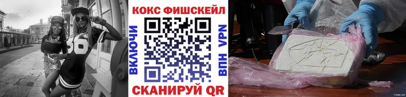 где купить наркотик  Мосальск  Cocaine FishScale 