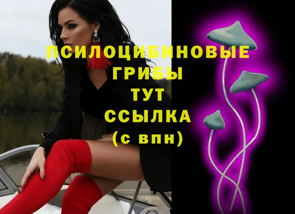 ECSTASY Мегион