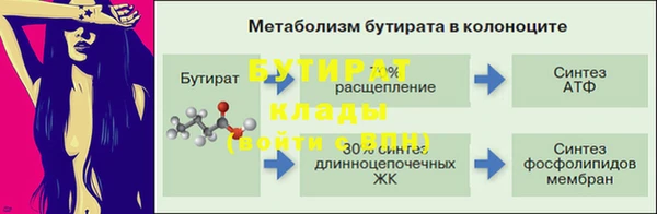 сатива Гусь-Хрустальный