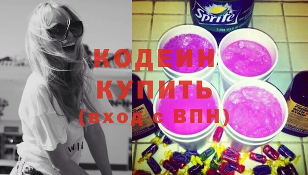 хмурый Алексин