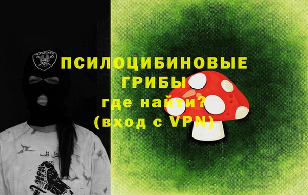 МДПВ Медвежьегорск