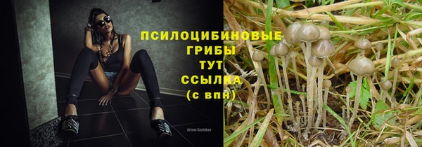 ECSTASY Мегион