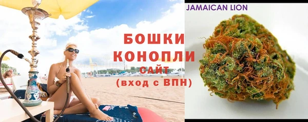 трава Магас
