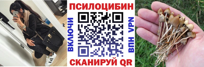 OMG рабочий сайт  Мосальск  Псилоцибиновые грибы Cubensis  купить  цена 